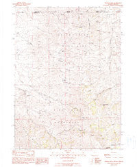 Trident Peak Nevada Historical topographic map, 1:24000 scale, 7.5 X 7.5 Minute, Year 1990