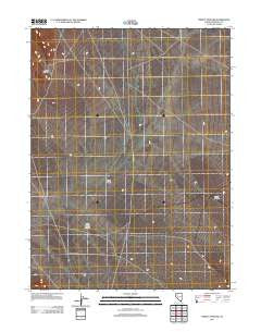 Trinity Pass NW Nevada Historical topographic map, 1:24000 scale, 7.5 X 7.5 Minute, Year 2011