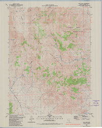 Tule Peak Nevada Historical topographic map, 1:24000 scale, 7.5 X 7.5 Minute, Year 1980