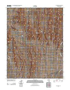 Tule Spring Nevada Historical topographic map, 1:24000 scale, 7.5 X 7.5 Minute, Year 2012