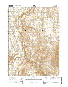 Twin Meadows Ranch Nevada Current topographic map, 1:24000 scale, 7.5 X 7.5 Minute, Year 2014