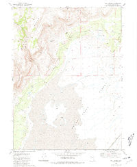 Wall Spring Nevada Historical topographic map, 1:24000 scale, 7.5 X 7.5 Minute, Year 1980