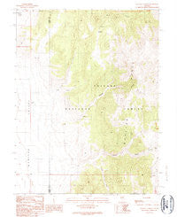 Wallace Canyon Nevada Historical topographic map, 1:24000 scale, 7.5 X 7.5 Minute, Year 1989