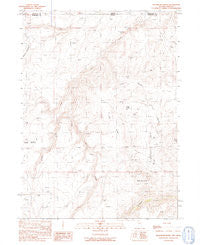 Washburn Basin Nevada Historical topographic map, 1:24000 scale, 7.5 X 7.5 Minute, Year 1991