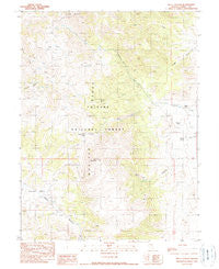 Well Canyon Nevada Historical topographic map, 1:24000 scale, 7.5 X 7.5 Minute, Year 1990