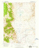 Wellington Nevada Historical topographic map, 1:62500 scale, 15 X 15 Minute, Year 1957