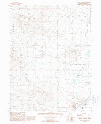 West of Lovelock Nevada Historical topographic map, 1:24000 scale, 7.5 X 7.5 Minute, Year 1987