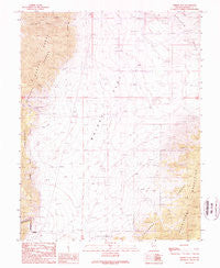 Whisky Flat Nevada Historical topographic map, 1:24000 scale, 7.5 X 7.5 Minute, Year 1989