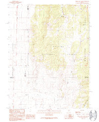 White Sage Canyon Nevada Historical topographic map, 1:24000 scale, 7.5 X 7.5 Minute, Year 1989