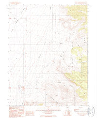 Wildcat Canyon Nevada Historical topographic map, 1:24000 scale, 7.5 X 7.5 Minute, Year 1989