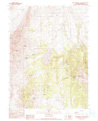 Wood Spring Canyon Nevada Historical topographic map, 1:24000 scale, 7.5 X 7.5 Minute, Year 1990
