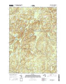 Albert Marsh New York Current topographic map, 1:24000 scale, 7.5 X 7.5 Minute, Year 2016