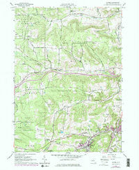 Alfred New York Historical topographic map, 1:24000 scale, 7.5 X 7.5 Minute, Year 1964