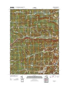 Alfred New York Historical topographic map, 1:24000 scale, 7.5 X 7.5 Minute, Year 2013