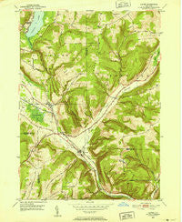 Alpine New York Historical topographic map, 1:24000 scale, 7.5 X 7.5 Minute, Year 1950