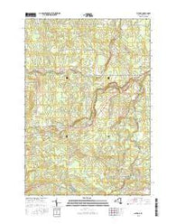 Altona New York Current topographic map, 1:24000 scale, 7.5 X 7.5 Minute, Year 2016