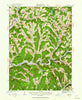 Andes New York Historical topographic map, 1:62500 scale, 15 X 15 Minute, Year 1922