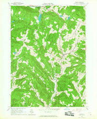 Andes New York Historical topographic map, 1:24000 scale, 7.5 X 7.5 Minute, Year 1965
