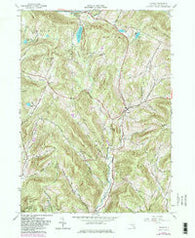 Andes New York Historical topographic map, 1:24000 scale, 7.5 X 7.5 Minute, Year 1965