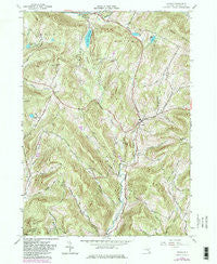 Andes New York Historical topographic map, 1:24000 scale, 7.5 X 7.5 Minute, Year 1965