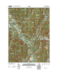 Angelica New York Historical topographic map, 1:24000 scale, 7.5 X 7.5 Minute, Year 2013