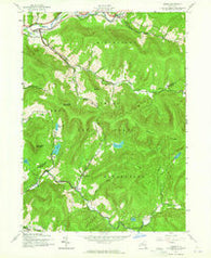Arena New York Historical topographic map, 1:24000 scale, 7.5 X 7.5 Minute, Year 1945