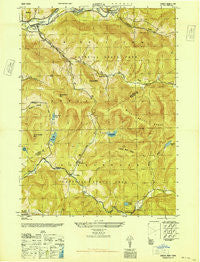 Arena New York Historical topographic map, 1:24000 scale, 7.5 X 7.5 Minute, Year 1946