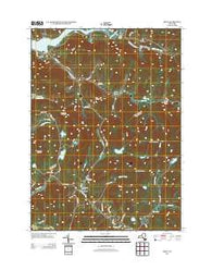 Arena New York Historical topographic map, 1:24000 scale, 7.5 X 7.5 Minute, Year 2013