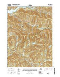 Arena New York Current topographic map, 1:24000 scale, 7.5 X 7.5 Minute, Year 2016