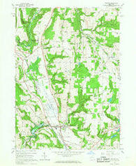 Arkport New York Historical topographic map, 1:24000 scale, 7.5 X 7.5 Minute, Year 1965