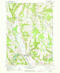 Arkport New York Historical topographic map, 1:24000 scale, 7.5 X 7.5 Minute, Year 1965