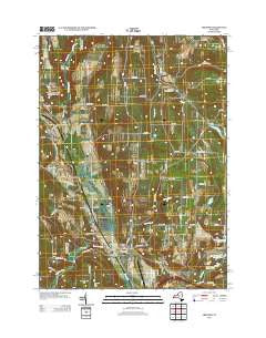 Arkport New York Historical topographic map, 1:24000 scale, 7.5 X 7.5 Minute, Year 2013
