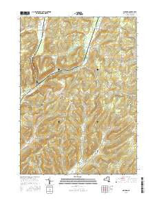 Ashford New York Current topographic map, 1:24000 scale, 7.5 X 7.5 Minute, Year 2016