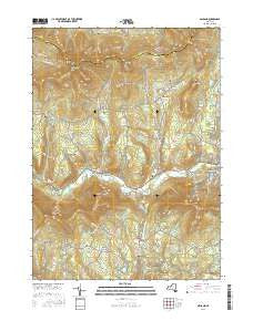 Ashland New York Current topographic map, 1:24000 scale, 7.5 X 7.5 Minute, Year 2016