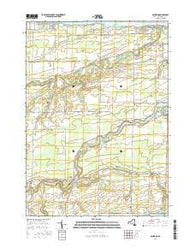 Ashwood New York Current topographic map, 1:24000 scale, 7.5 X 7.5 Minute, Year 2016
