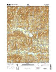 Bearsville New York Current topographic map, 1:24000 scale, 7.5 X 7.5 Minute, Year 2016