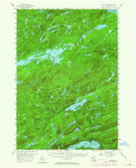 Big Moose New York Historical topographic map, 1:62500 scale, 15 X 15 Minute, Year 1954