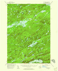 Big Moose New York Historical topographic map, 1:62500 scale, 15 X 15 Minute, Year 1954