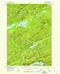 Big Moose New York Historical topographic map, 1:62500 scale, 15 X 15 Minute, Year 1954