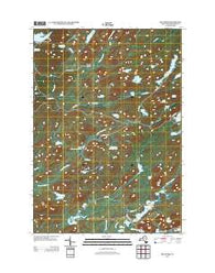 Big Moose New York Historical topographic map, 1:24000 scale, 7.5 X 7.5 Minute, Year 2013