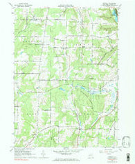 Birdsall New York Historical topographic map, 1:24000 scale, 7.5 X 7.5 Minute, Year 1964