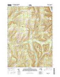 Birdsall New York Current topographic map, 1:24000 scale, 7.5 X 7.5 Minute, Year 2016