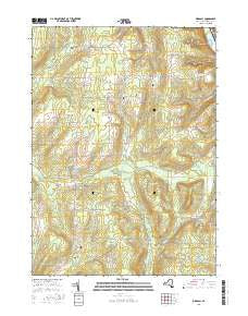 Birdsall New York Current topographic map, 1:24000 scale, 7.5 X 7.5 Minute, Year 2016