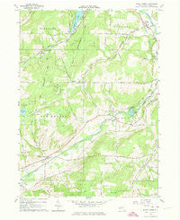 Black Creek New York Historical topographic map, 1:24000 scale, 7.5 X 7.5 Minute, Year 1964