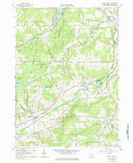 Black Creek New York Historical topographic map, 1:24000 scale, 7.5 X 7.5 Minute, Year 1964