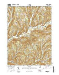 Bloomville New York Current topographic map, 1:24000 scale, 7.5 X 7.5 Minute, Year 2016