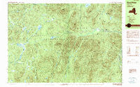 Blue Ridge New York Historical topographic map, 1:25000 scale, 7.5 X 15 Minute, Year 1989
