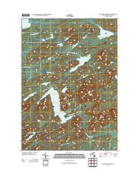 Brandreth Lake New York Historical topographic map, 1:24000 scale, 7.5 X 7.5 Minute, Year 2013