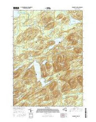 Brandreth Lake New York Current topographic map, 1:24000 scale, 7.5 X 7.5 Minute, Year 2016