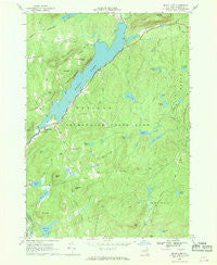 Brant Lake New York Historical topographic map, 1:24000 scale, 7.5 X 7.5 Minute, Year 1966